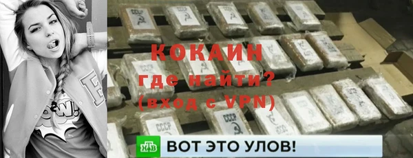 скорость Каменка