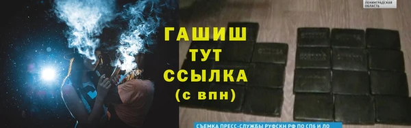 скорость Каменка