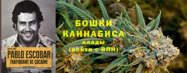 шишки Каменск-Шахтинский