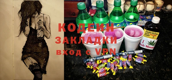 скорость Каменка