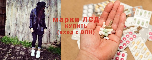 скорость Каменка