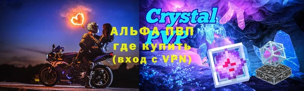 скорость Каменка