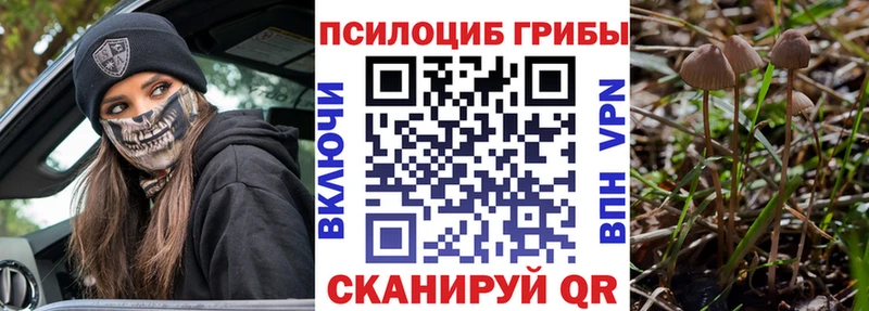 Галлюциногенные грибы мухоморы  darknet формула  Электросталь 