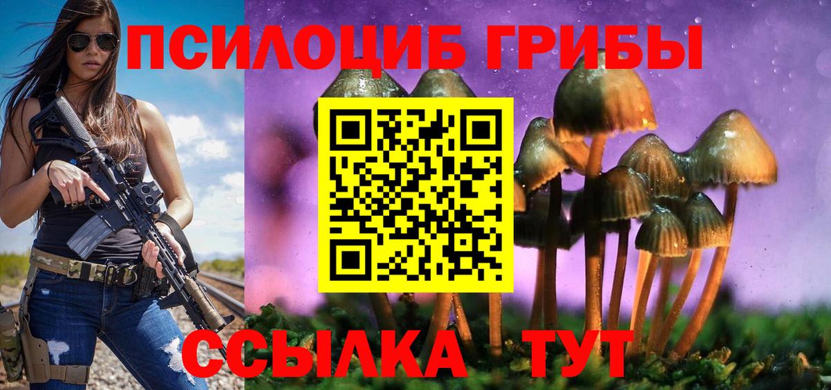 Электросталь  Галлюциногенные грибы GOLDEN TEACHER  Вход с VPN 